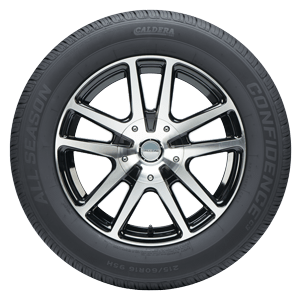 Sidewall View of Confidence C3 Tire